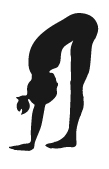 Standing Forward Bend - Pada Hasthasana